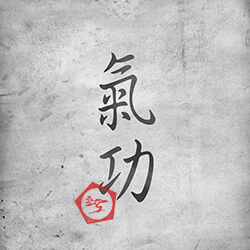 Kanji Qi Gong - Dim mak Europe