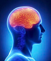 Kyusho Jitsu neurologie