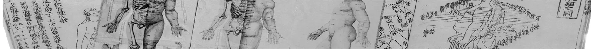 Historische Chinese anatomische kaarten met meridianen en drukpunten